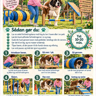 Målrettet træning med din hund (Download version)