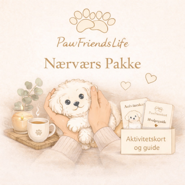 Nærværs Pakke