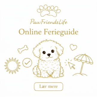 Ferieguide